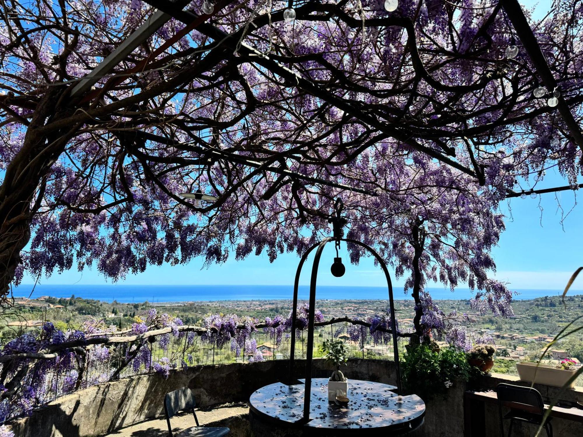 Il Noceto Dell'Etna Bed & Breakfast Giarre Exterior photo